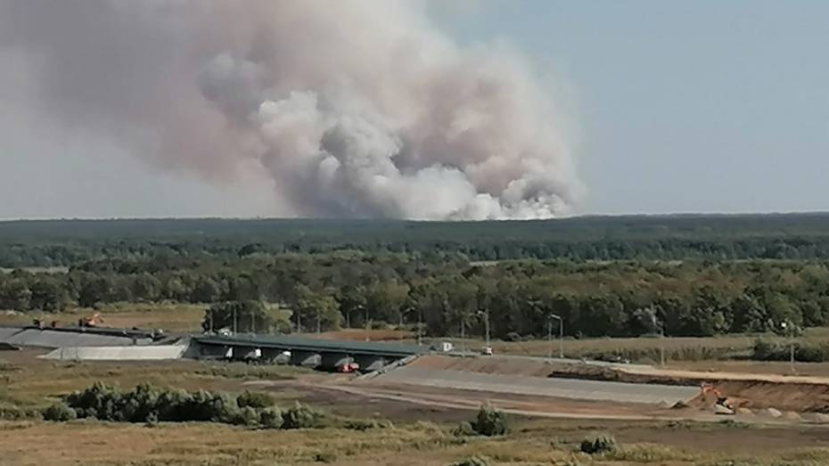 В Воронежской области потушили пожар, который разросся в 12 раз