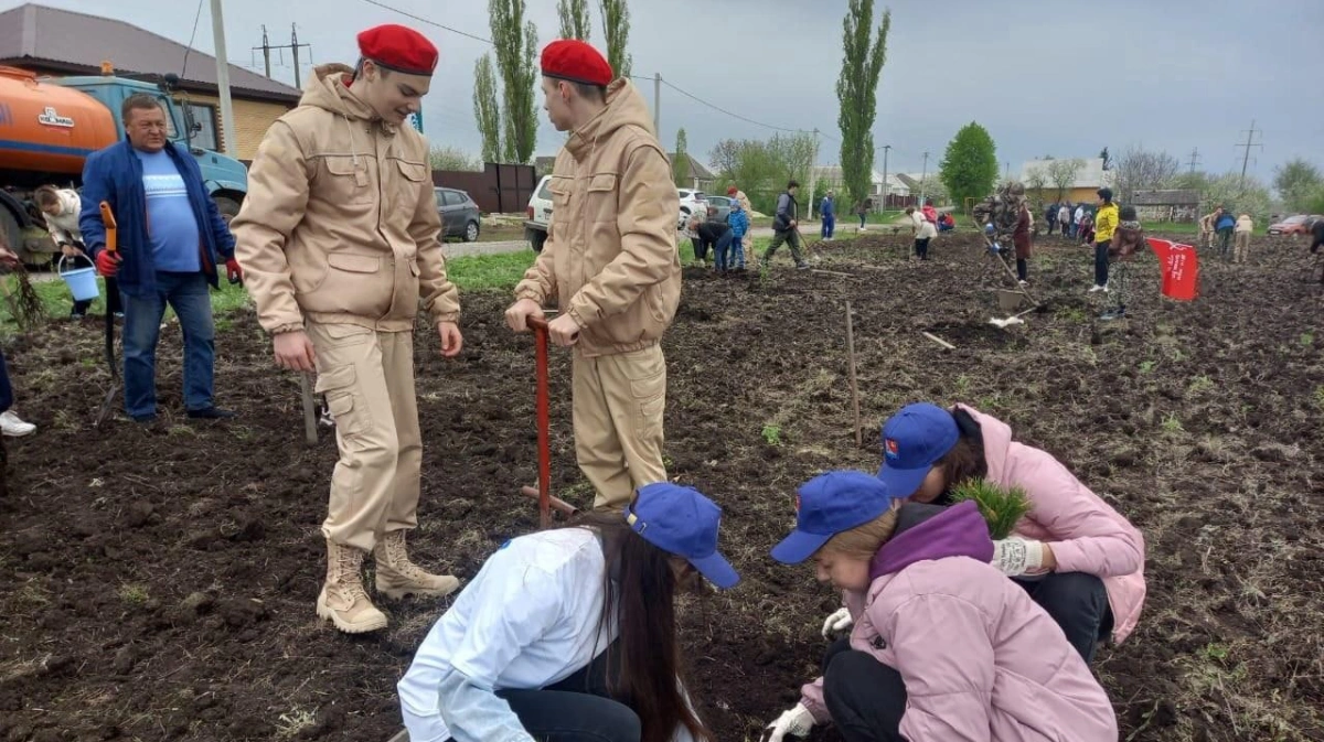В саду посадили 14 фруктовых. Акция посади дерево. Высадка деревьев Воронеж. Активисты сажают деревья. Волонтеры высаживают деревья.