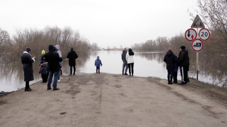 В Воронежской области остаются затопленными 5 мостов