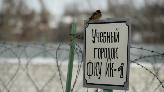 Экс-сотрудник ФСИН в Воронежской области попал под суд за сбыт марихуаны