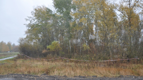 В Воронежской области отправили в СИЗО подозреваемого в убийстве одноклассницы 