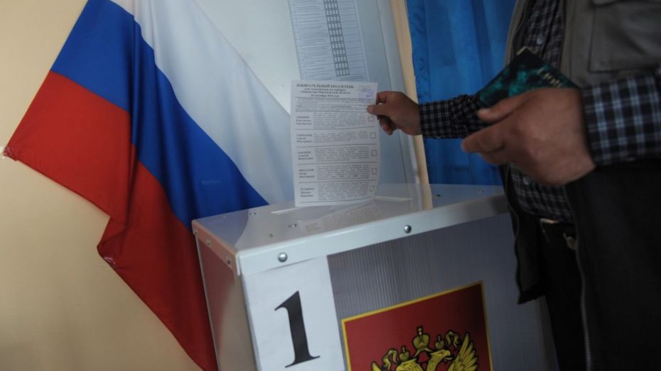 В Воронежской области выборы в Госдуму пройдут без электронных урн