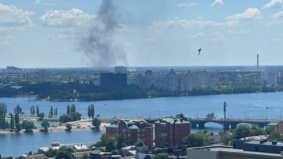 Пожар вспыхнул в промзоне на левом берегу Воронежа