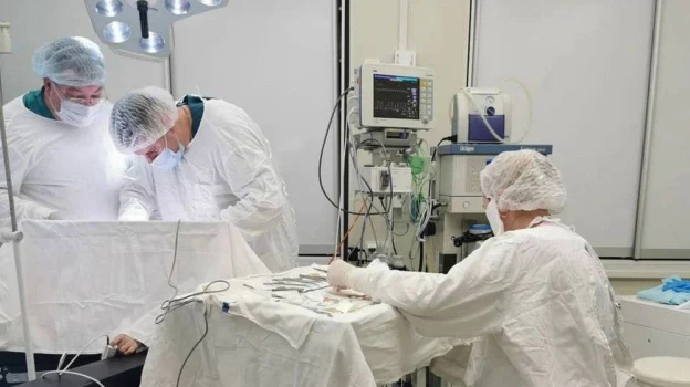 Десять воронежских медиков победили во Всероссийском конкурсе врачей