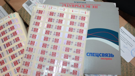 Избирательные бюллетени в Воронежской области защитят 3,7 млн специальных марок