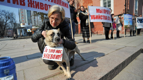 Воронежские зоозащитники потребовали прекратить незаконный отстрел животных