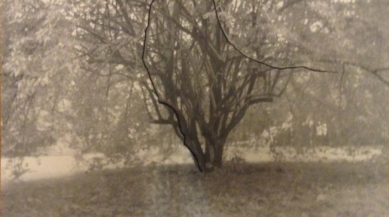 Художница Анна Курбатова покажет выставку об обмене памятью между человеком и местом