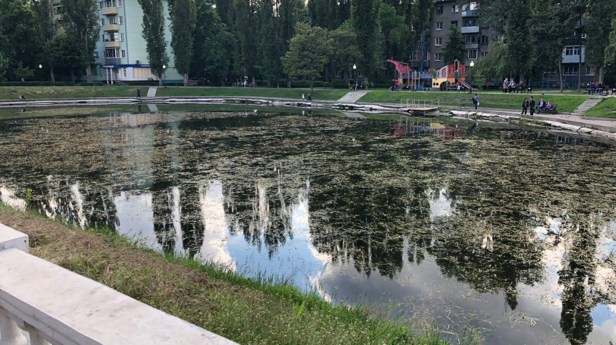 Лебединое озеро Воронеж