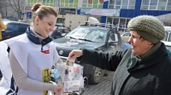 Воронежцы собрали для бездомных собак 28 тысяч рублей