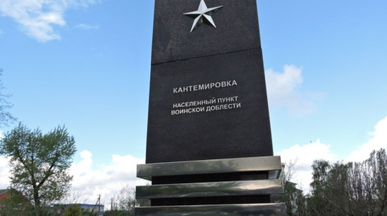 В Кантемировке на реализацию патриотического проекта направят 3 млн рублей