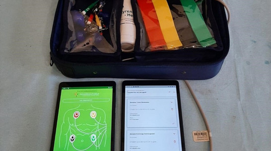 Жители Центрального района Воронежа могут вызвать врача на дом по электронной почте