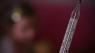 Воронежские врачи спрогнозировали снижение заболеваемости гриппом