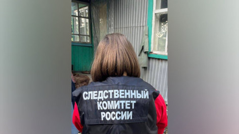 В Воронежской области мужчина убил соседа кувалдой