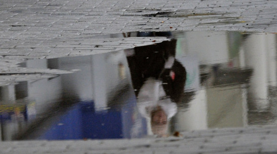 Выходные в Воронеже будут теплыми и сырыми