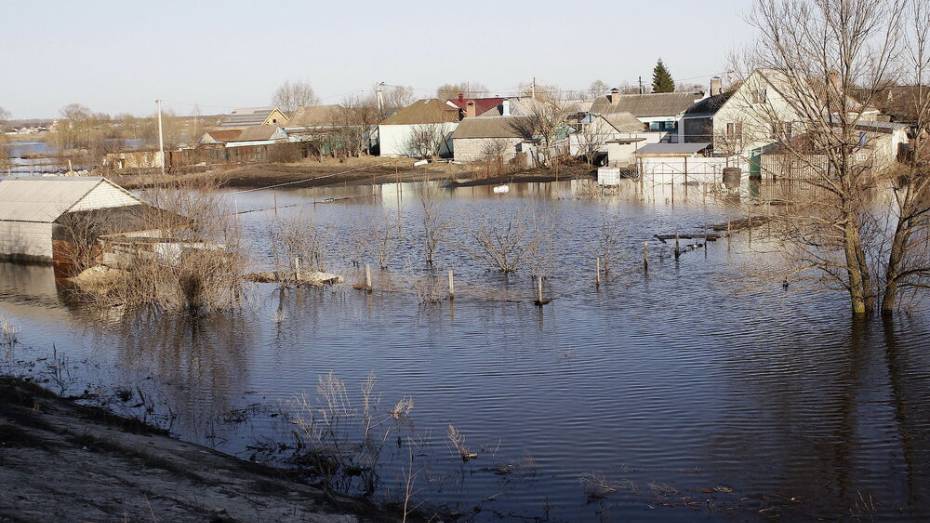 Воронежская область подготовится к возможным весенним паводкам