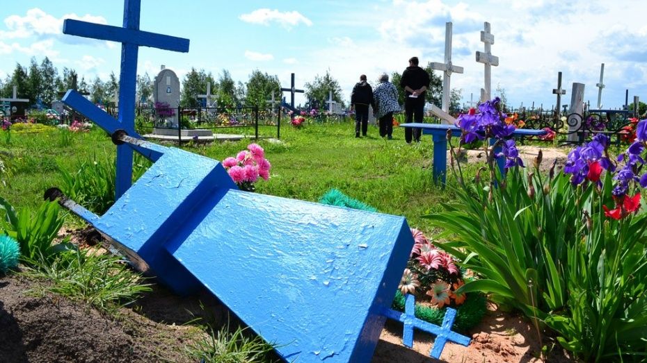В Терновке на кладбище вандалы повредили 5 памятников