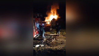 Дом многодетной семьи сгорел в Воронеже