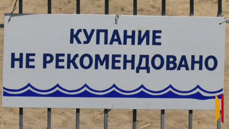 Роспотребнадзор забраковал три пляжа в Воронежской области