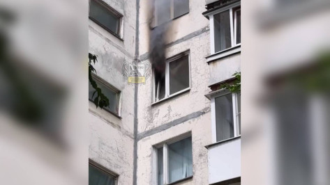 Пожар в квартире на улице Лизюкова в Воронеже попал на видео