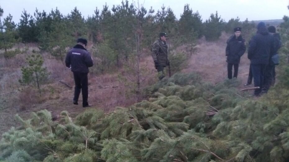 В Воронежской области поймали первого новогоднего браконьера