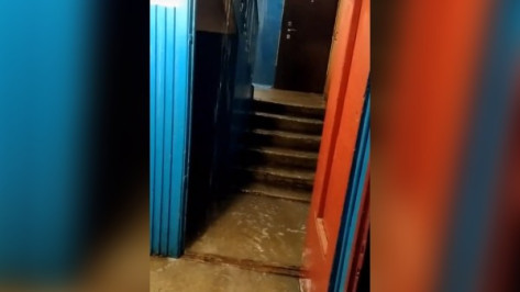 Воронежцы сняли на видео потоп в подъезде многоэтажки после дождя