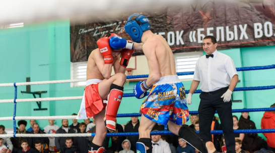 Воронежские спортсмены завоевали 8 медалей на первенстве ЦФО по кикбоксингу