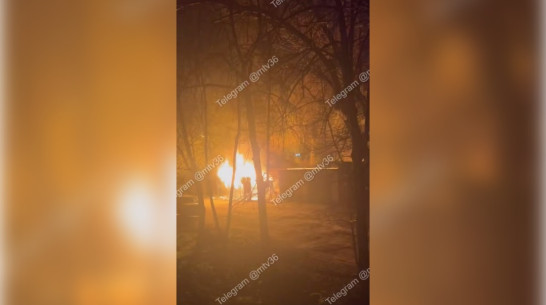 Ночной пожар на улице Депутатской в Воронеже сняли на видео