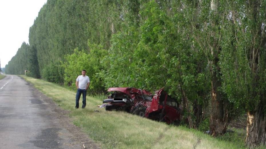 Два человека насмерть врезались в дерево на «ВАЗе» в Воронежской области