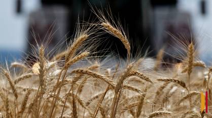 Как воронежские аграрии готовятся к посевной-2026