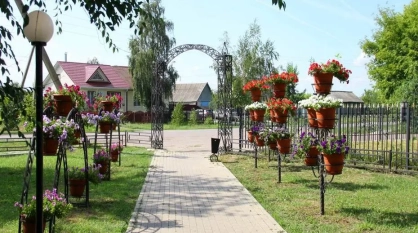 В основной этап конкурса «Самое красивое село Воронежской области» пройдут 20 населенных пунктов региона