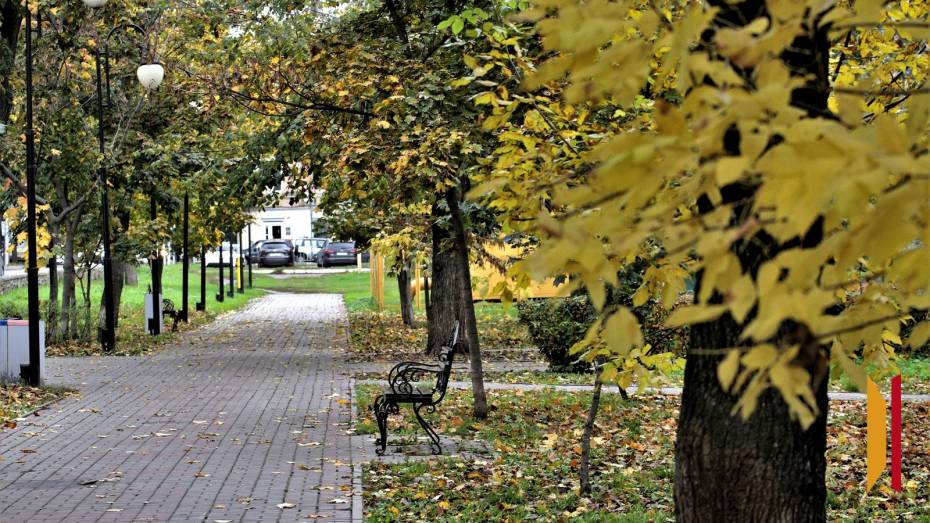 В начале ноября в Воронеже ожидаются заморозки