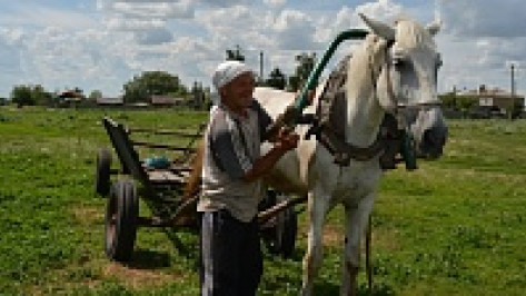Житель  нижнедевицкого поселка косит траву на музейном экспонате