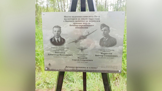 Грибановские краеведы разыскали родственников погибшего в годы ВОВ летчика
