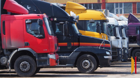 В Воронежской области установят 5 новых пунктов весогабаритного контроля за 325 млн рублей