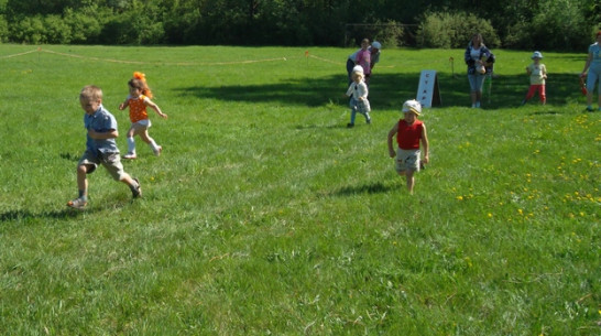 В Верхнемамонском районе соревновались в скорости трехлетние малыши