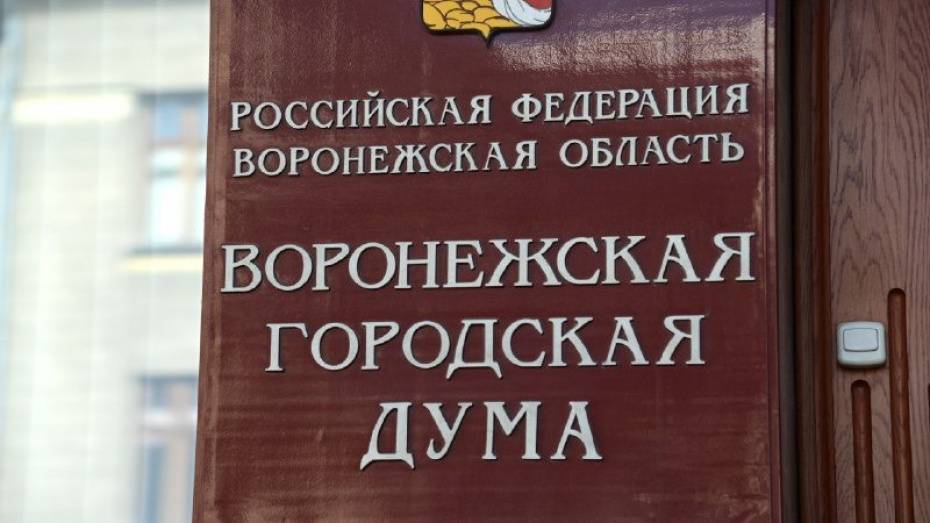 Гордума одобрила корректировку бюджета Воронежа