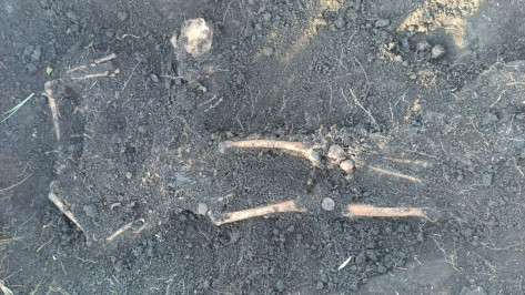 При строительстве дома у Воронежского водохранилища нашли человеческий череп