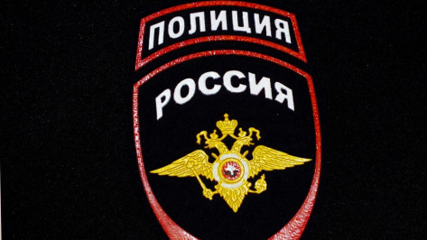 В Воронеже 2 сестры из Курска пойдут под суд за кражи из съемных квартир