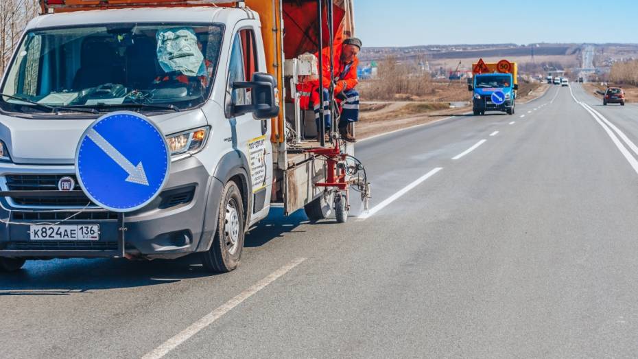 На трассах Воронежской области приступили к обновлению разметки