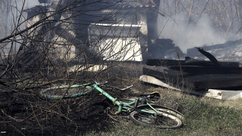 Мать и пятеро детей погибли при пожаре в воронежском селе