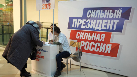 В Воронеже открылись пункты сбора подписей в поддержку Владимира Путина