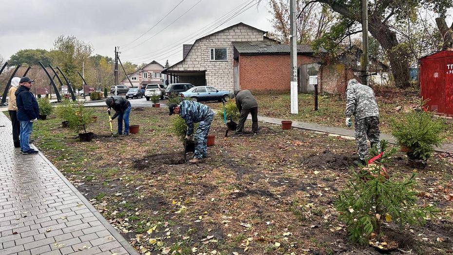 В россошанском селе Подгорное озеленили новый бульвар