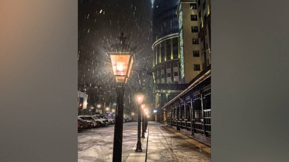 В Воронеж пришел первый с начала зимы снегопад: фото и видео