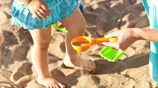 Правительство России поддержит воронежские многодетные семьи в 2017 году