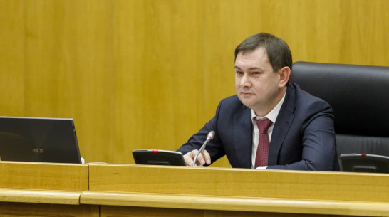 Глава Воронежской облдумы Владимир Нетесов: «Готовы приступить к реализации послания»