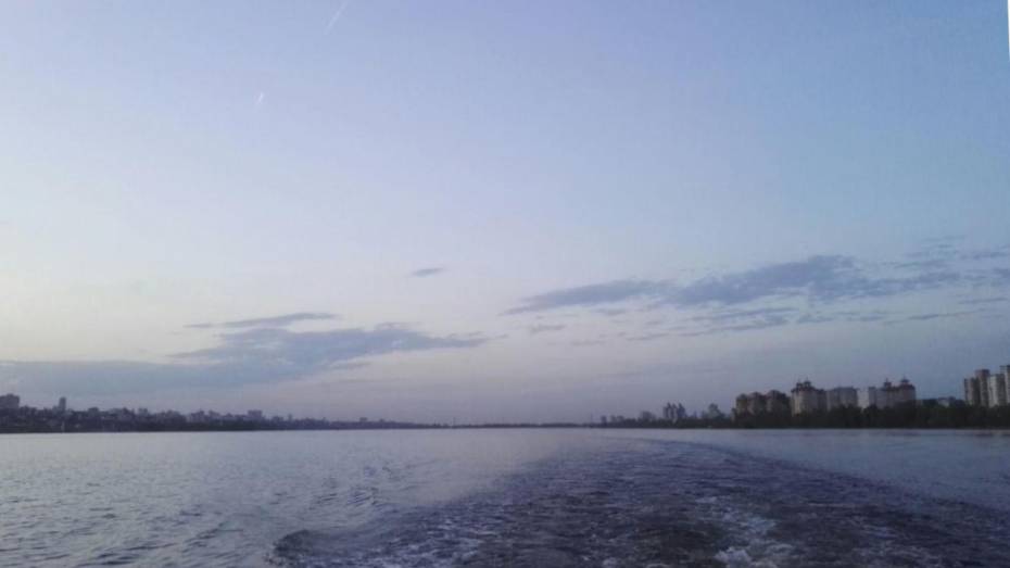 Воронежцы не дали девушке спрыгнуть с Чернавского моста