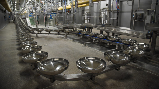 Воронежская область получит 165 млн рублей на возмещение затрат сельхозпроизводителям