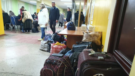 Число прибывших в Воронеж беженцев из Харьковской области выросло до 625