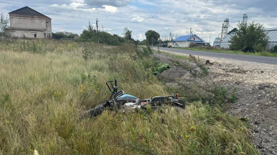 Под Воронежем КамАЗ влетел в мопед: пострадали двое подростков