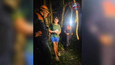 Сочинские спасатели нашли в лесу потерявшегося туриста из Воронежа